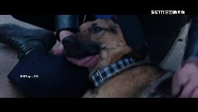 英嫌咬警犬1600