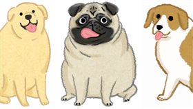 名家／毛起來／天生易發胖的狗狗品種