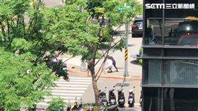 屁孩把馬路當擂台大戰3回合。