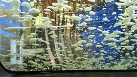 洗車場 洗車

https://www.flickr.com/photos/nataliemaynor/6744835593/in/photolist-bh23CR-9UHc2G-ajPo5Y-coh4Vs-cohBKs-8EHiQs-nEgb1V-ajLLvc-nWCcUQ-nEfjMe-nWrPyM-ceH84Q-nYwJVD-nEfvYb-nEfc7K-cohTW7-nEgUja-8EHiF