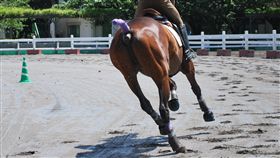 16:9
馬 動物
圖／攝影者karitsu, Flickr CC License
https://flic.kr/p/4SMzFu
