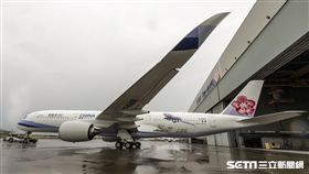 華航藍鵲號。（圖／華航提供）