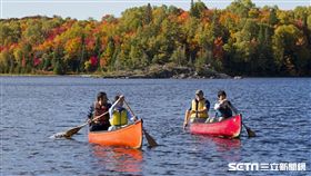 加拿大楓葉,賞楓。（圖／加拿大航空提供）