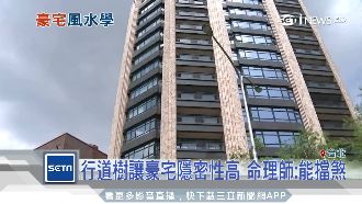 陳泰銘裝潢新家　竟連行道樹也包了？