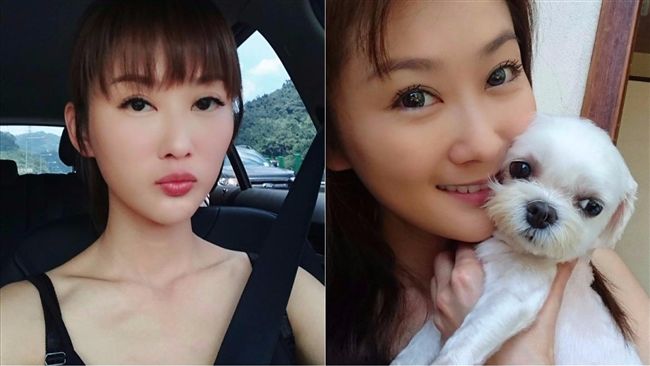愛犬病三年離世…陳珮騏：沒有遺憾