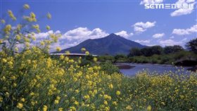 日本茨城縣築波水鄉自行車。（圖／茨城縣提供）