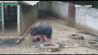 逗弄黑熊遭狂咬　泰男送醫縫近千針