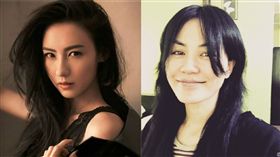 王菲,張柏芝（合成圖／翻攝自微博）