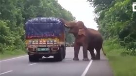 印度,西孟加拉邦,野象,旱災,攔截,飢餓,印度象,坦米爾納杜邦