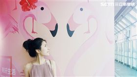 桃捷,打卡,景點。（圖／主辦單位提供）