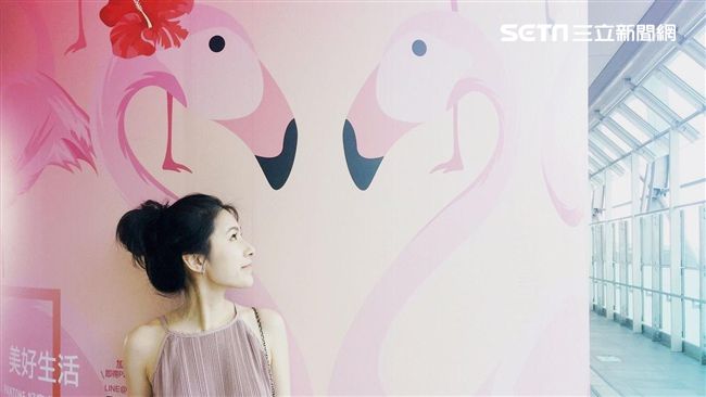 夢幻紅鶴、霜淇淋　桃捷限定打卡熱點