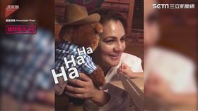 錄在泰迪熊裡的，是亡夫的笑聲。