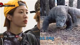 叢林的法則,哈妮,Hani / 翻攝自SBS Entertainment youtube