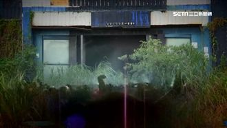 影／白天仍透不進光…南港廢墟曝光