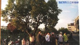 明倫蛋餅創辦人張尚書，生前在員林國中旁擺攤，兒子也傳承老味道，到逢甲夜市賣蛋餅。