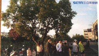 蛋餅香伴員林人長大　兒逢甲夜市擴點