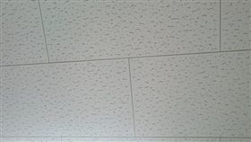 天花板,トラバーチン模様,travertine,大理石,小孔,建築,礦石
（圖／翻攝自推特）