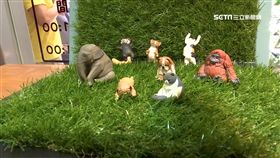 扭蛋,戽斗,動物,療癒,打瞌睡,公仔,摩埃水果冰