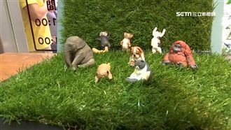 搞怪系扭蛋當道　揭療癒小物背後商機