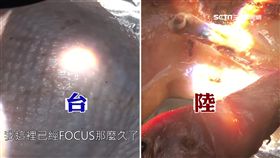 烤雞,凸透鏡,辦公室小野,烤鴨,野孩子,網紅,放大鏡,烤肉