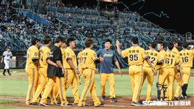 中信兄弟　圖／記者林敬旻攝