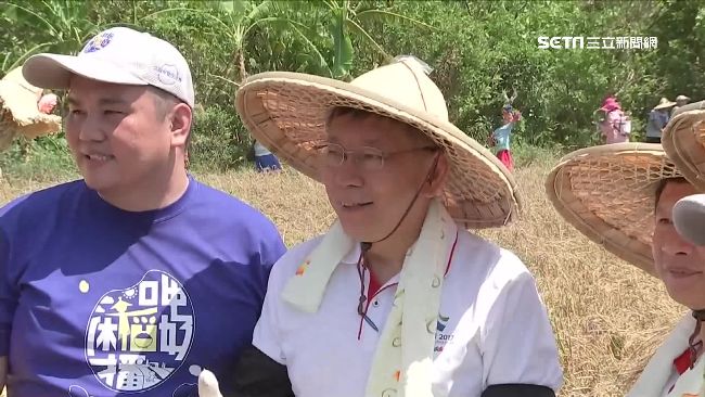 拼連任！柯P明年市長選舉主打牌曝光