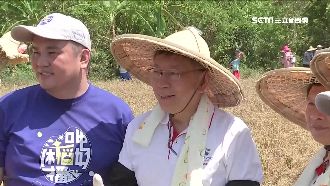 拼連任！柯P明年市長選舉主打牌曝光