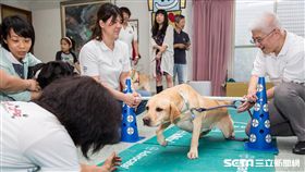 惠光導盲犬學校26週年校慶 現場近20隻導盲犬接受體適能訓練。（圖／公關照）