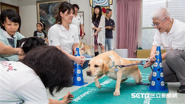 毛小孩老化速度快　常鍊核心保軟Q