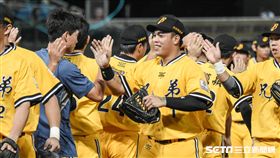 中信兄弟陳子豪　圖／記者林敬旻攝