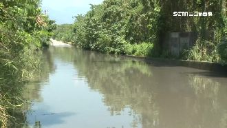 晴天卻淹水！疑排水設計不佳害車拋錨