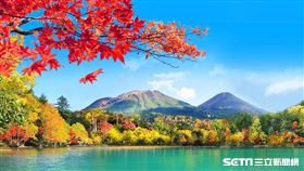 賞楓,楓葉,北海道阿寒湖。（圖／易遊網提供）