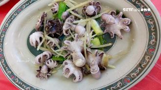 小章魚一盤250元！上桌以為吃剩的