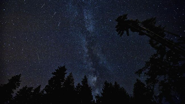 英仙座流星雨登場　「這天」流星最多