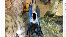 澳洲,恐龍博物館,迅猛龍,模型,斬首（圖／翻攝自www.abc.net.au/news）