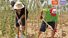 名家／未來Family／窮養教出強小孩