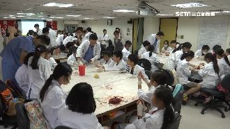 小醫師養成班！教學童替豬心動手術