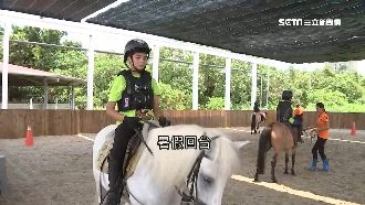 馬術夏令營夯　騎馬餵馬3天要1萬5