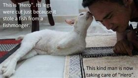 貓,偷吃,私刑,斬腳,海螺,Hero,印尼,親吻,喵星人　圖／翻射自