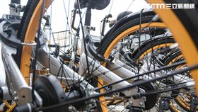 oBike亂象,無樁自行車,共享,機車,腳踏車,停車格,違停　圖／記者林敬旻攝