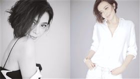 關之琳（合成圖／翻攝自微博）