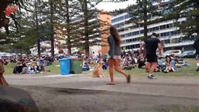 任性汪汪躺地耍賴不回家。