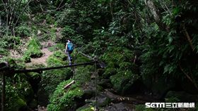 2017新北市登山旅遊節,平溪區東勢格越嶺步道。（圖／新北觀旅局提供）