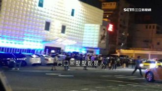 台中不只金錢豹！越南團竟包車上夜店