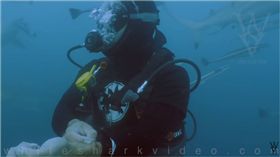 鯊魚,大白鯊,血液,割腕,潛水員,Skyler Thomas　圖／翻攝自YouTube