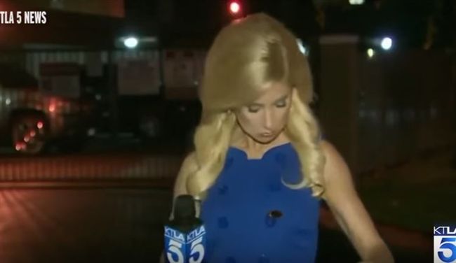 蟑螂襲胸女記者　同事欲救美卻猶豫了