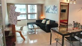 裝潢,擺設,女主人,暗示,獨居／爆廢公社