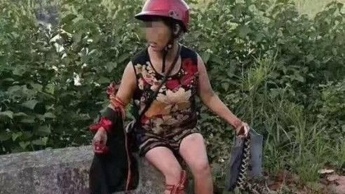 毒蛇惹到陸大媽　遭砸爛頭部慘死