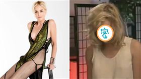 莎朗史東,Sharon Yvonne Stone,第六感追緝令,好萊塢,情色,演技,電影,演員,偵探,驚悚（圖／翻攝自莎朗史東推特）