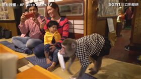 用獼猴服務的居酒屋